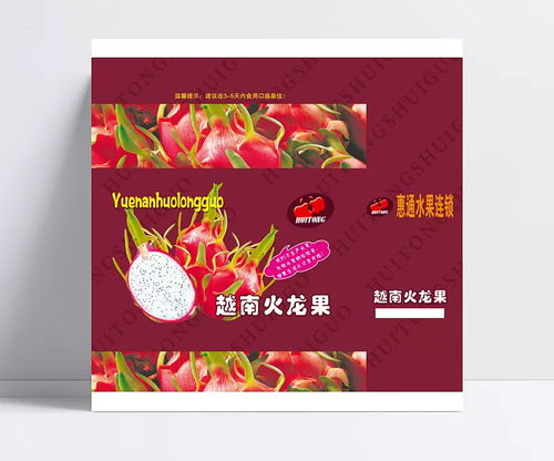 火龙果包装设计图库与代理服务解析
